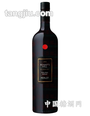 宾富太阳之神玛帕之路美乐干红葡萄酒