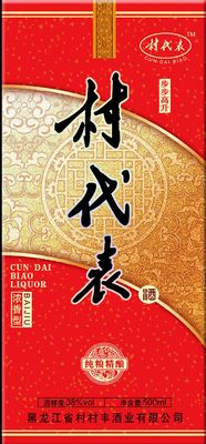 村代表2