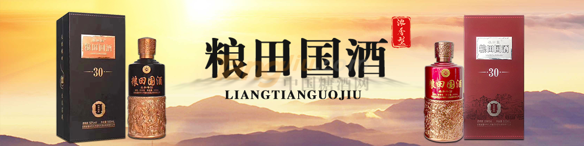 安徽闯王酒业有限公司.png