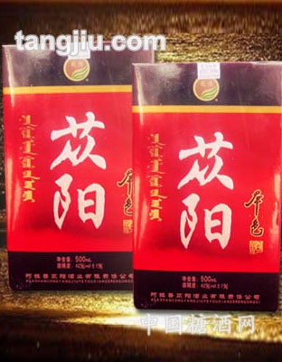 苁阳本色