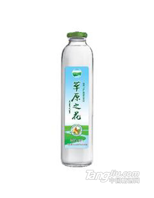 草原之花纯野山杏仁植物蛋白饮料