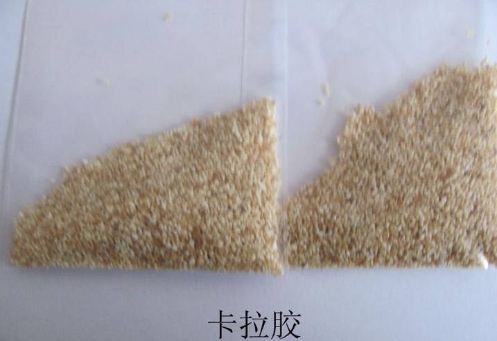 进口拉曼比利时季节啤酒干酵母 季节塞松酵母Belle  Saison 