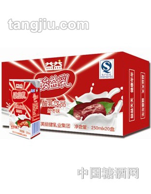 益益酸乳饮品(红枣味)砖250ml