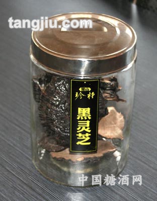 野生灵芝
