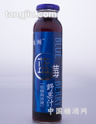 佳湖蓝莓野果汁420ml