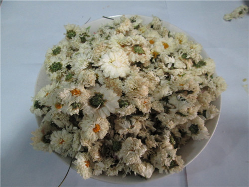 批发纤芙蓉贡菊花茶