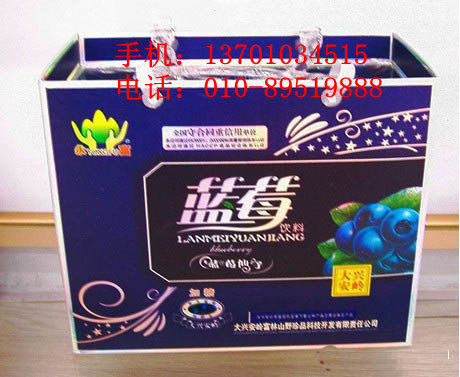 供应蓝莓果汁春节送礼大方体面