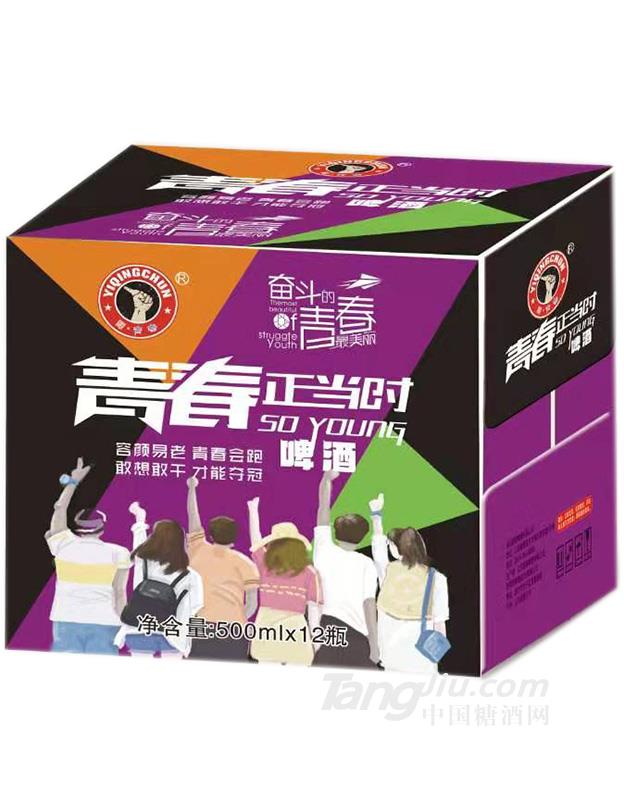 青春正当时黄啤酒-500mlx12