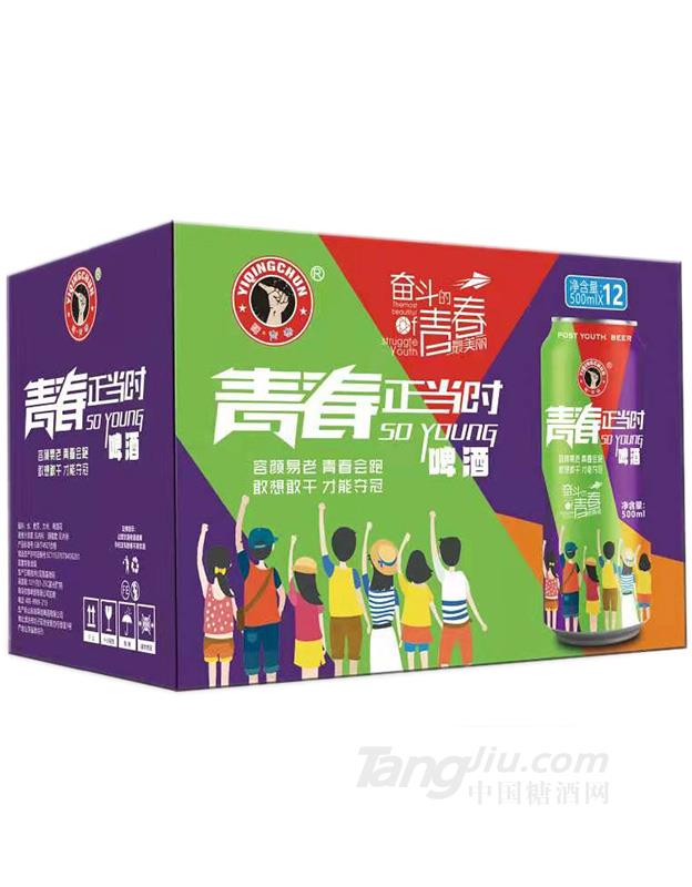 青春正当时啤酒罐装-500mlx12
