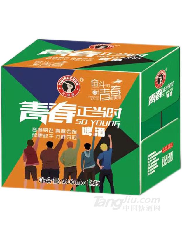 青春正当时啤酒瓶装-500mlx12