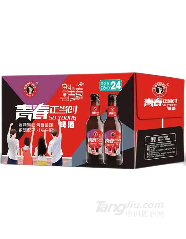 青春正当时啤酒瓶装-236mlx24