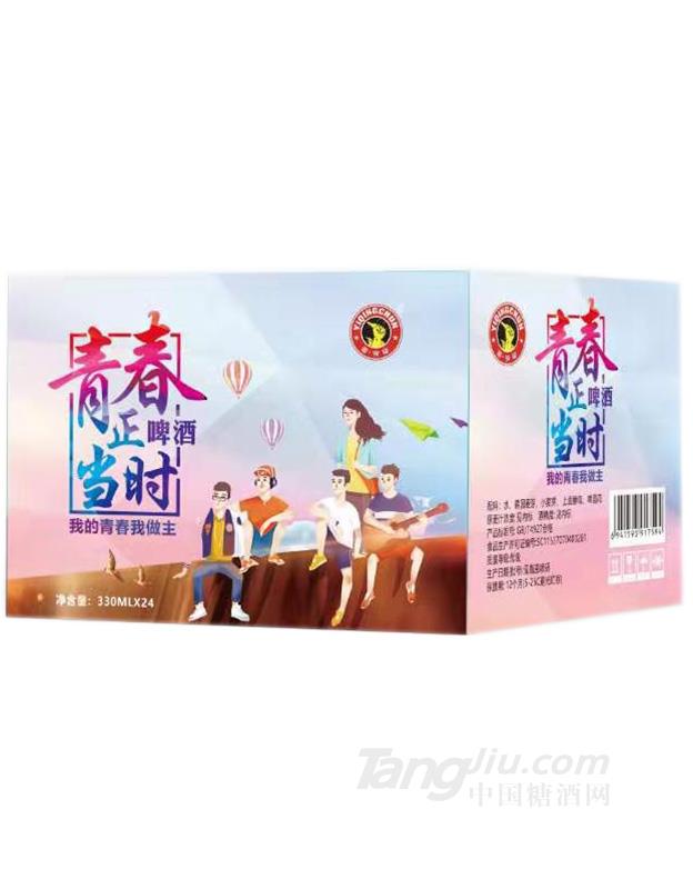 青春正当时啤酒瓶装-330mlx24