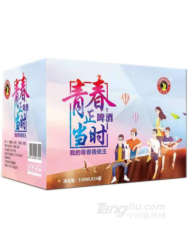 青春正当时啤酒细高罐装-330mlx24
