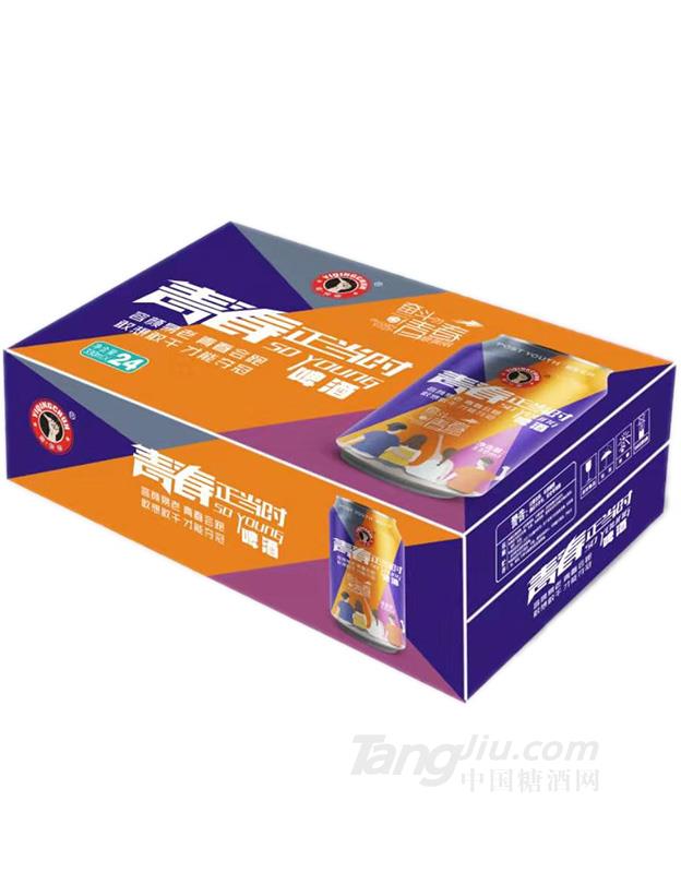 青春正当时啤酒罐装-330mlx24