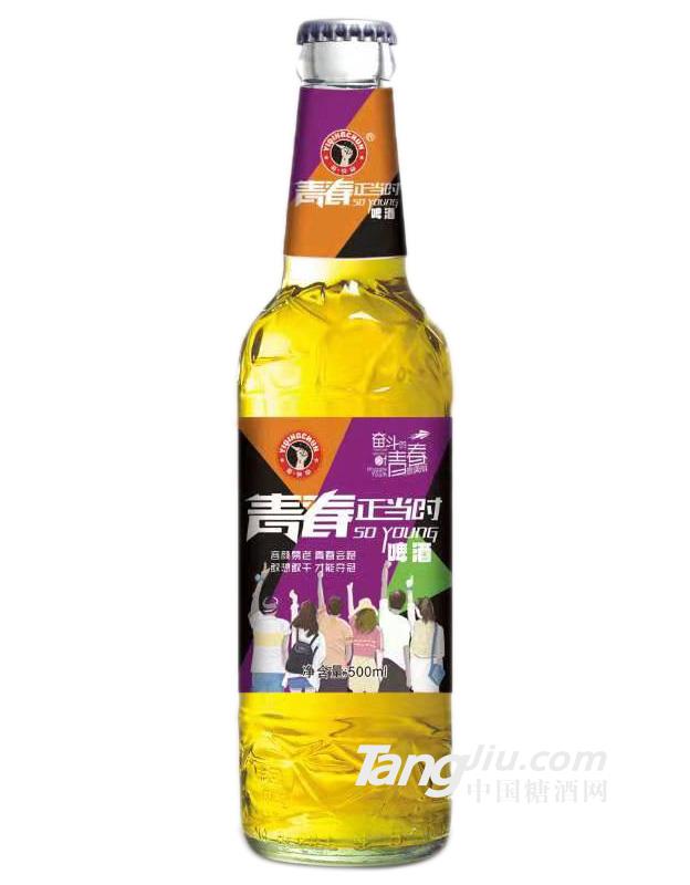 青春正当时黄啤酒-500ml
