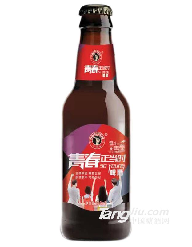 青春正当时啤酒瓶装-236ml
