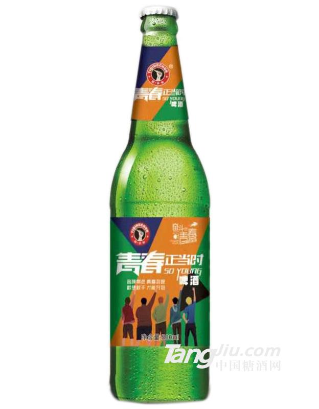 青春正当时啤酒瓶装-500ml
