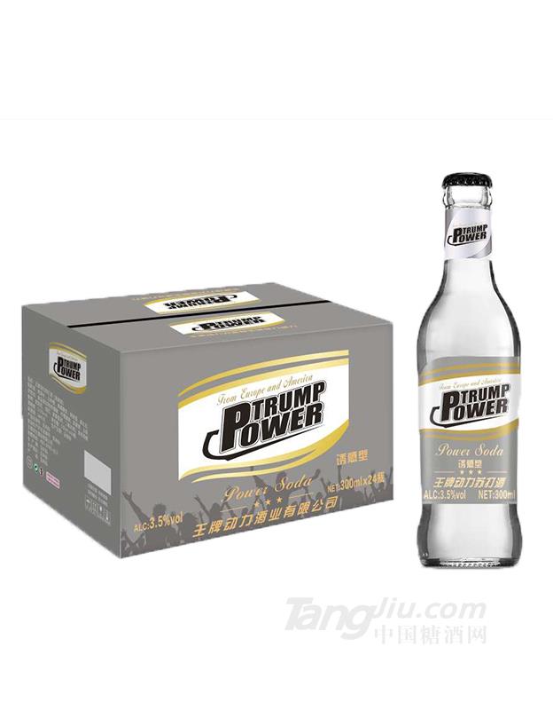 动力苏打酒300ml诱惑型