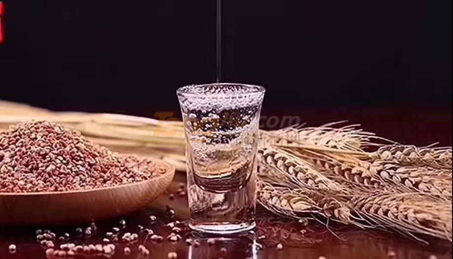 杜康老酒 (1).jpg 杜康老酒 (1).jpg