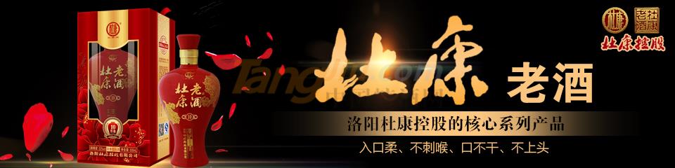 洛阳杜康控股杜康老酒全国运营中心.jpg