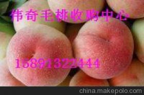 陕西毛桃产地毛桃批发