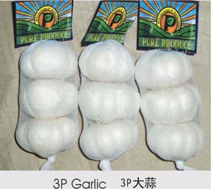 3p大蒜