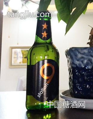 荷兰原装原瓶进口狮得森啤酒7