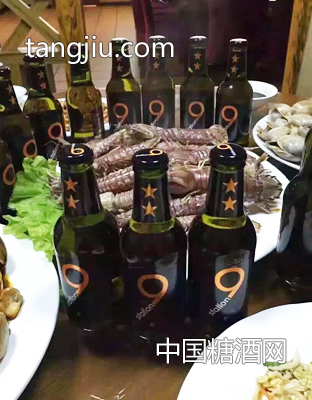 荷兰原装原瓶进口狮得森啤酒6