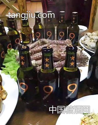 荷兰原装原瓶进口狮得森啤酒6