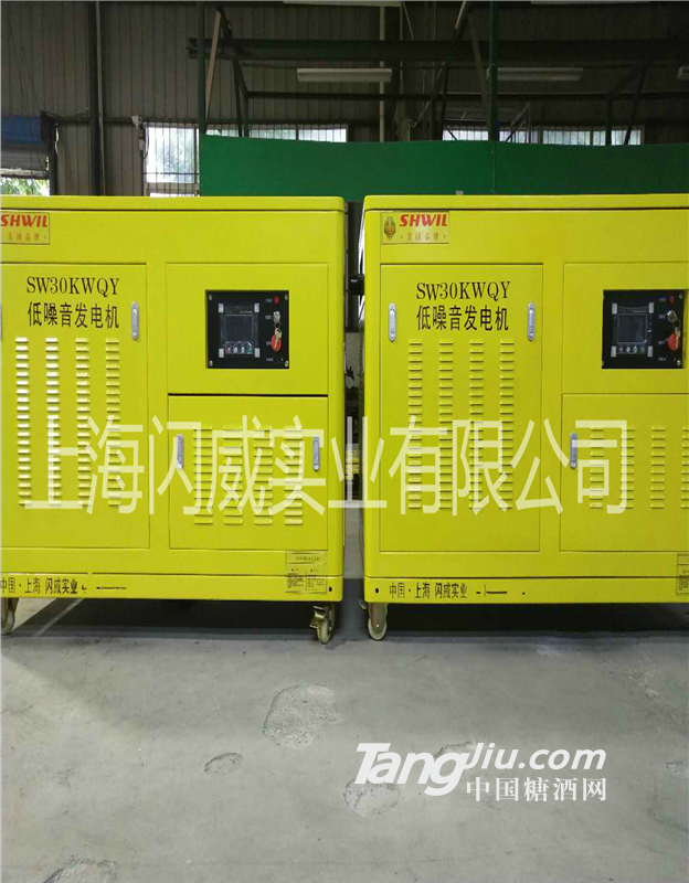 汽油发电机30kw