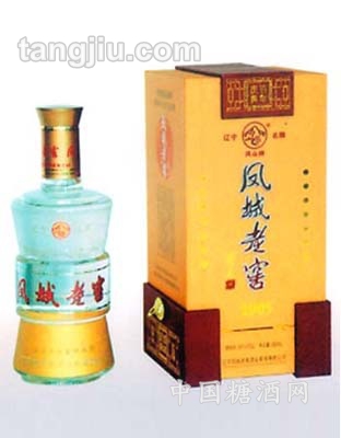 凤城老窖百年庆典