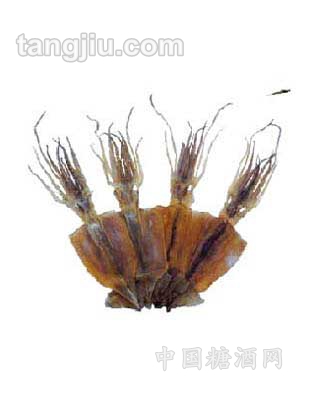 阿根廷鱿鱼干