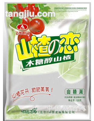 120g山楂之恋（山楂派）