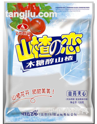 120克山楂之恋（山药夹心）