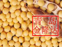 巴西一级非转基因大豆