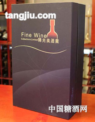 阳光美LOGO蓝色双支礼盒