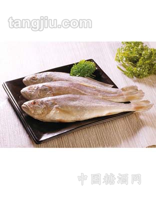 九洋白姑鱼