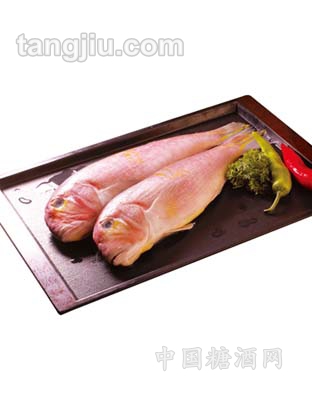 九洋马头鱼