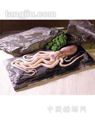 九洋章鱼