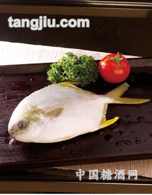 九洋金鲳
