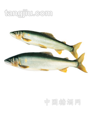 香鱼系列