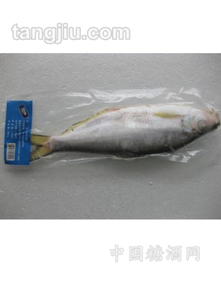 白力鱼