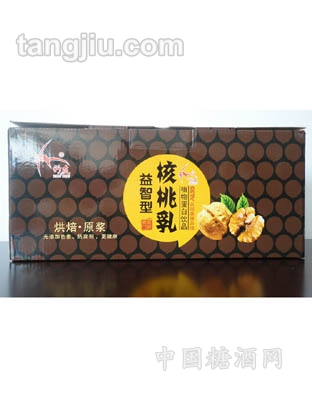 竹友核桃乳型箱装