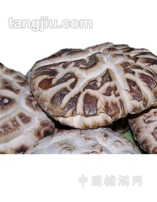 伏龙山香菇