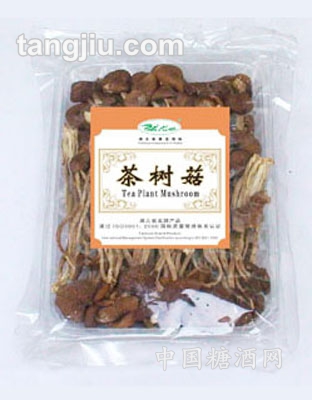 伏龙山牌茶树菇