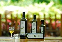 供应上海进口橄榄油报关代理