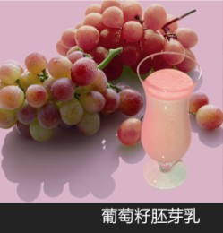 供应葡萄籽胚芽乳