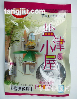 100g盐津杨梅