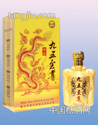 复兴梦九五立体