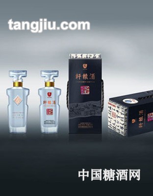 45&#176;轩辕酒大师级500ml